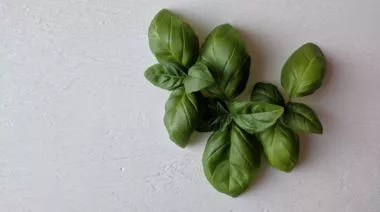 garnishing-instructions-image